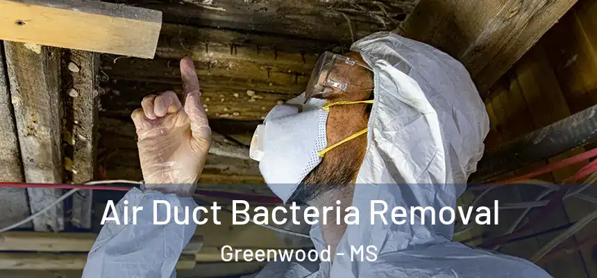 Air Duct Bacteria Removal Greenwood - MS