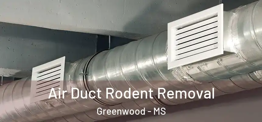  Air Duct Rodent Removal Greenwood - MS