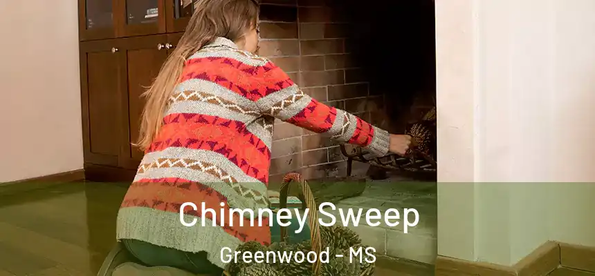  Chimney Sweep Greenwood - MS