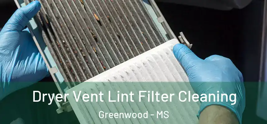  Dryer Vent Lint Filter Cleaning Greenwood - MS