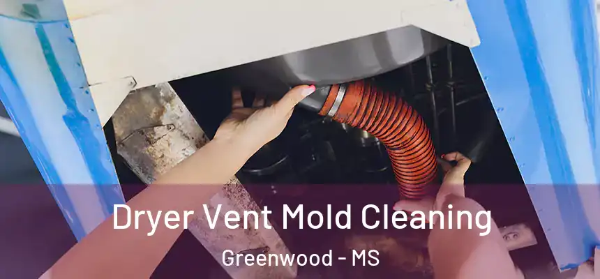  Dryer Vent Mold Cleaning Greenwood - MS
