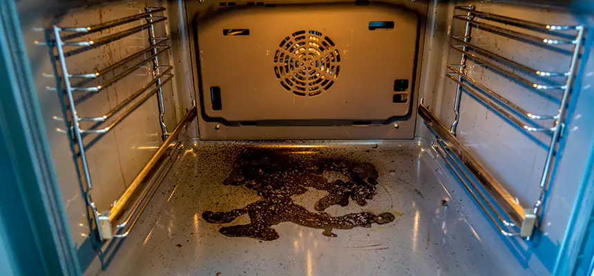 Our Dryer Vent Mold Cleaning Services in Greenwood, MS