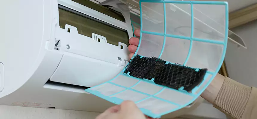 Gentle Ductwork Odor-Control Pet Dander Duct Cleaning in Greenwood, MS