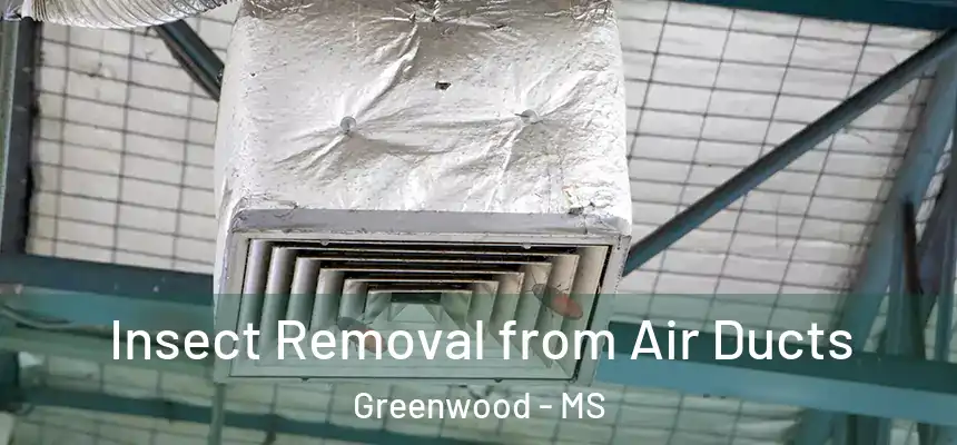  Insect Removal from Air Ducts Greenwood - MS