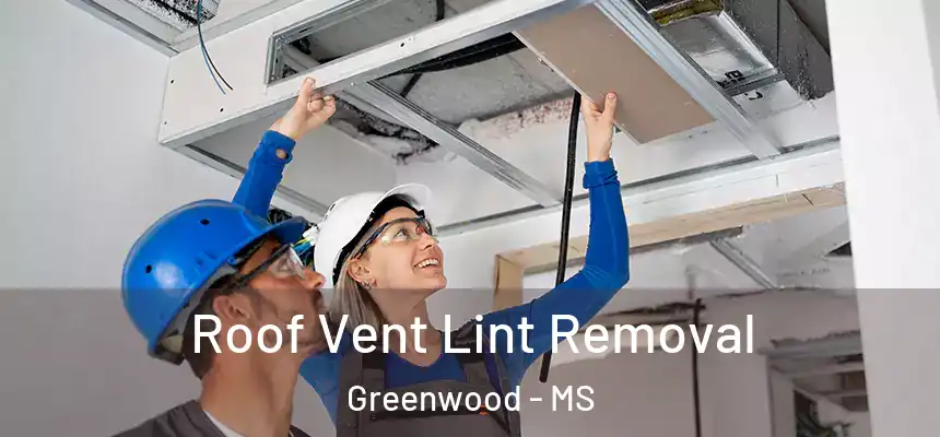  Roof Vent Lint Removal Greenwood - MS