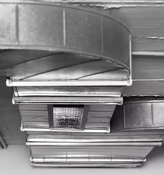 Professional Air Duct Pest Removal in Greenwood, MS