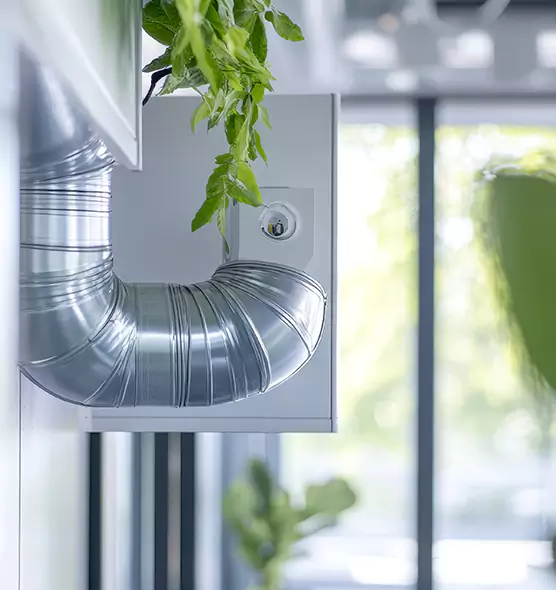 Professional Eco-Safe Dryer Vent Cleaning in Greenwood, MS