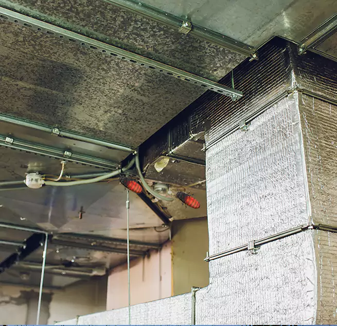 Why Homeowners & Businesses Trust Us in Greenwood, MS?