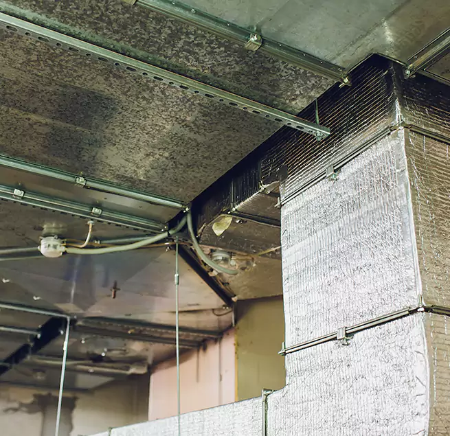 Why Homeowners & Businesses Trust Us in Greenwood, MS?